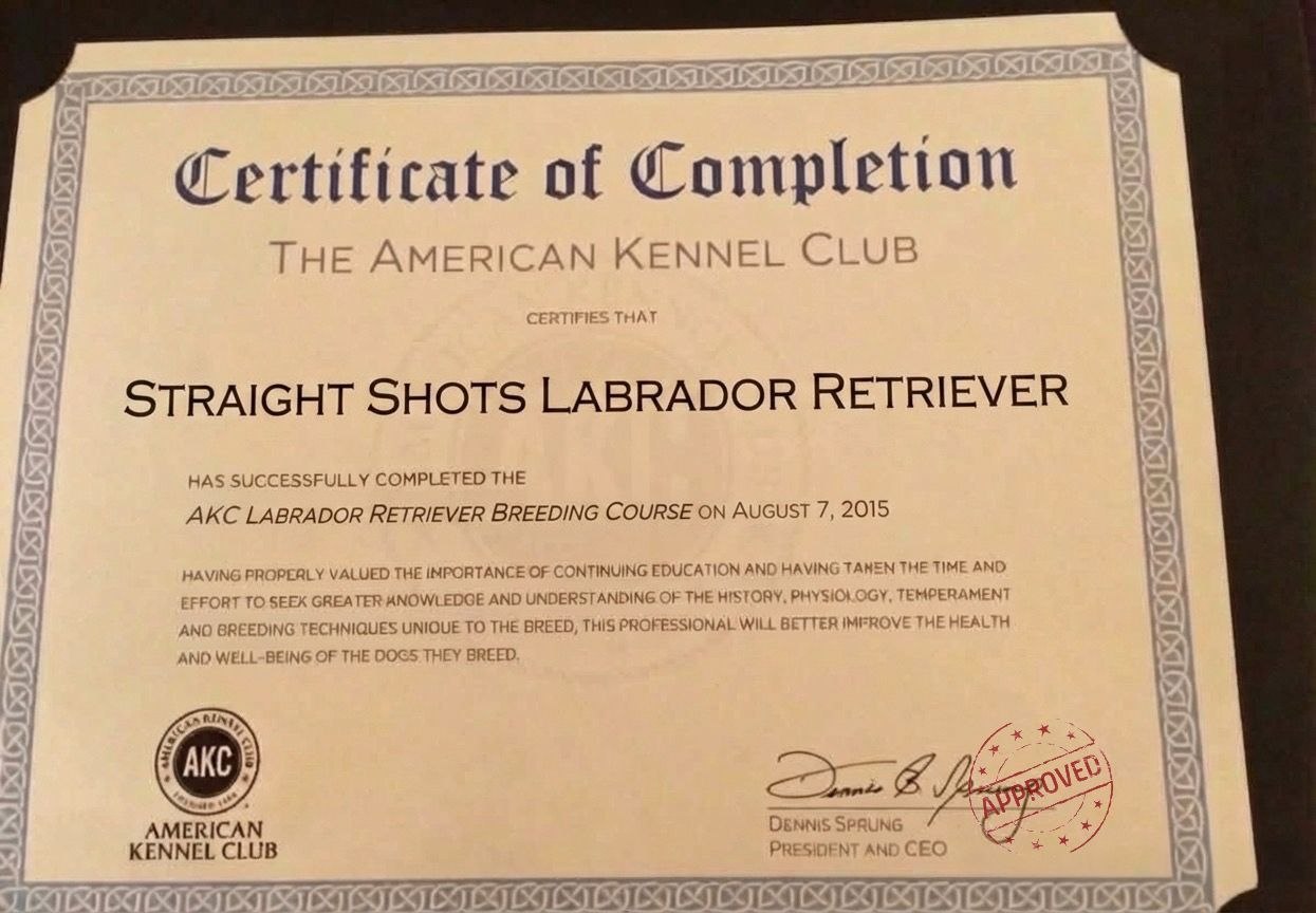 Primepaw Labradors Breeder Certificate